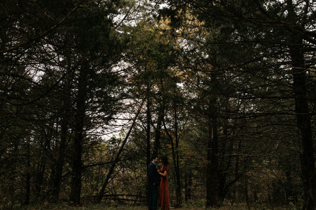 Woodsy engagement pictures in springfield area